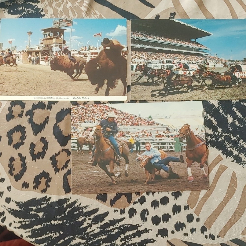 Vintage Calgary Rodeo Postcard Set (3)